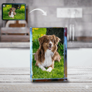 Square · Art-Enhanced 3D Crystal Engraving