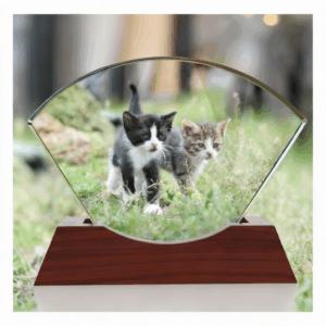 Custom Fan-Shaped Crystal Engraving